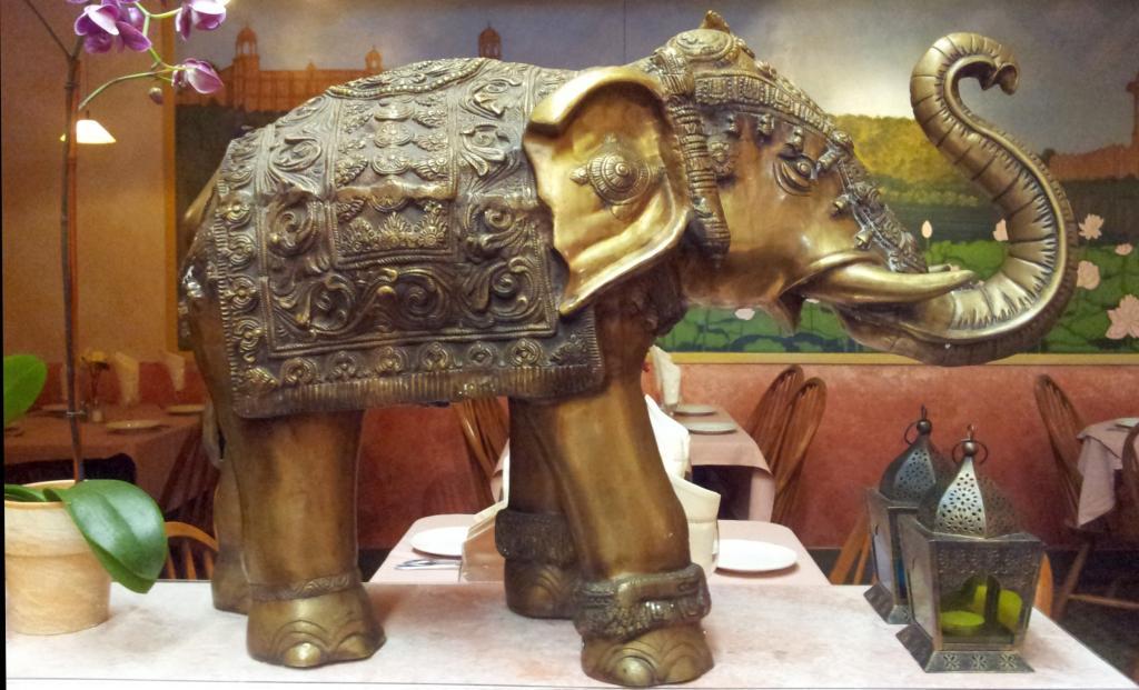 Sign petition to save the elephants - Indian Restaurant | Lotus Cuisine
