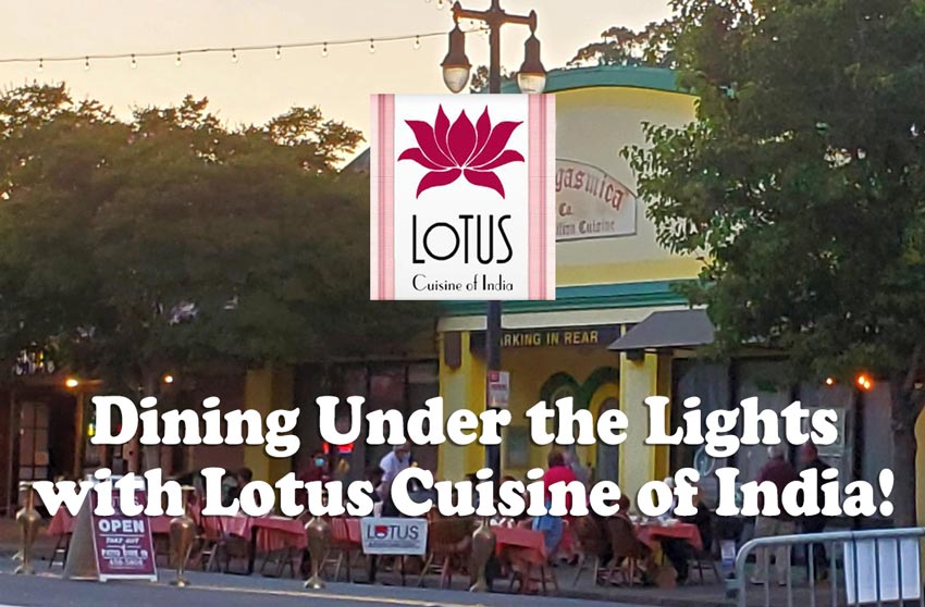 Dining Under the Lights with Lotus