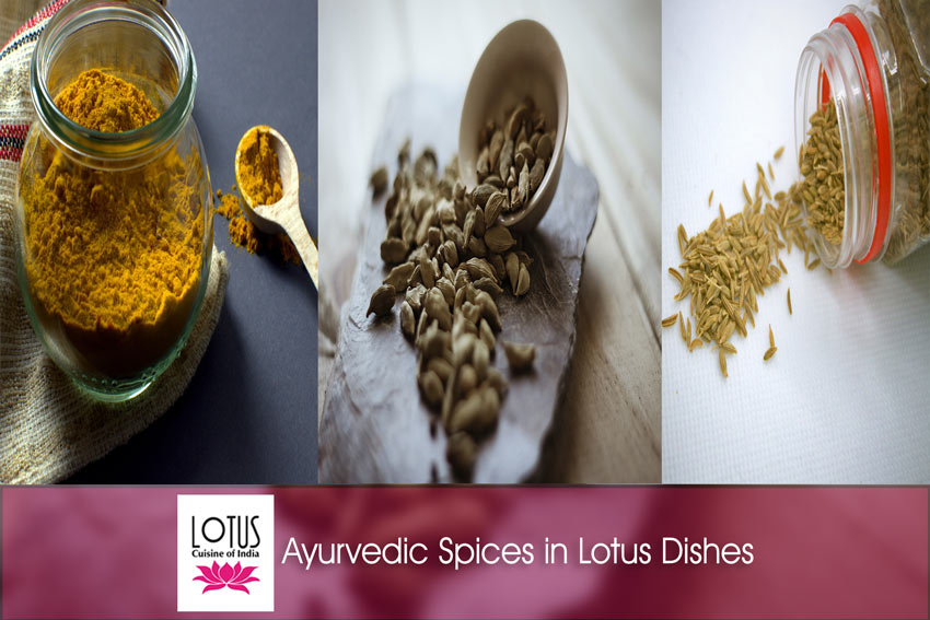 Lotus Cuisine of India - Ayurvedic Spices in Lotus Dishes - Collage images of turmeric, cardamom and cumin, logo and text.
