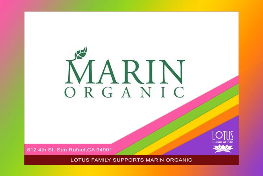 Lotus Cuisine of India - Marin Organic - Logos and texts.